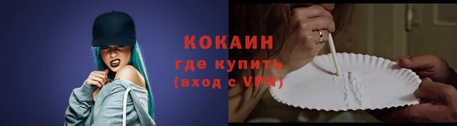 крисы Вязники