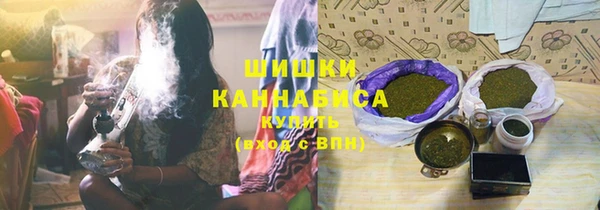 СК Вязьма