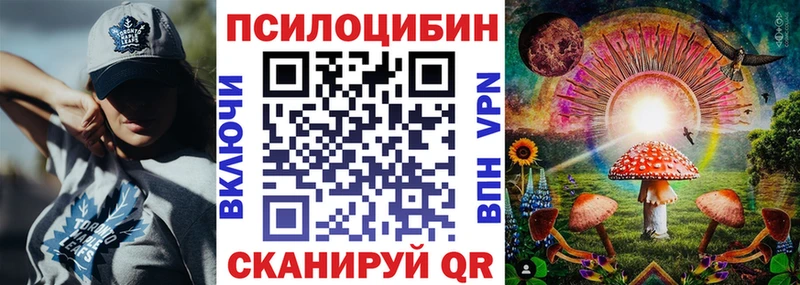 Псилоцибиновые грибы Psilocybine cubensis  Нея 